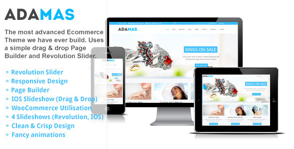 adamas-ecommerce-wordpress-theme.__large_preview